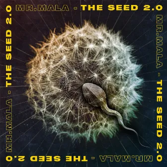 The Seed 2.0 by Mr.Mala