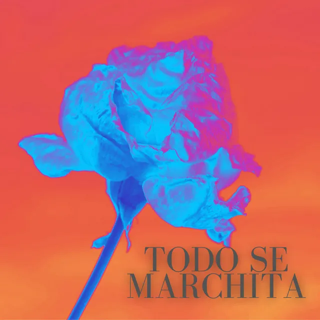 Todo se marchita