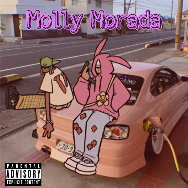 Molly Morada