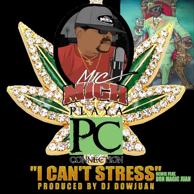 I Can't Stress (Remix)