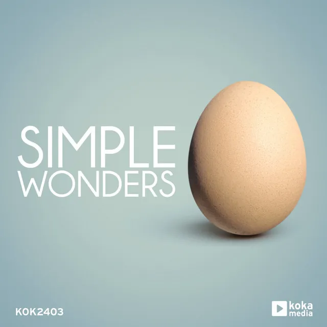 Simple Wonders