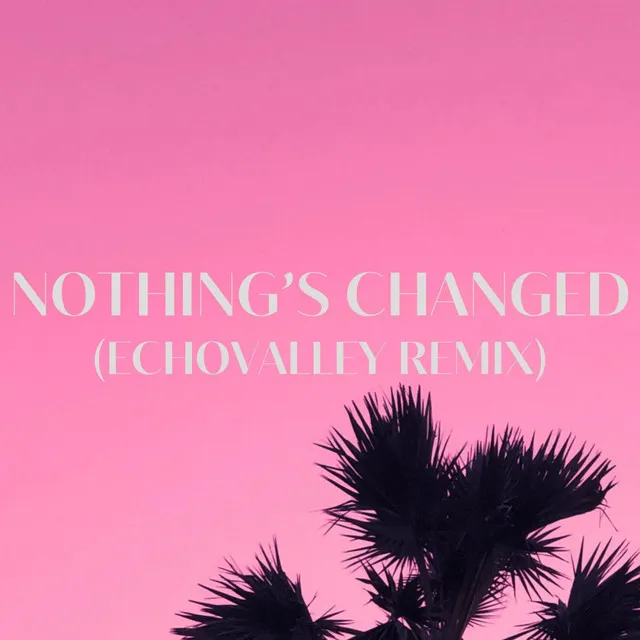 Nothing's Changed - ECHOVALLEY Remix