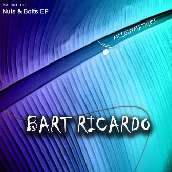 Nuts & Bolts EP by Bart Ricardo