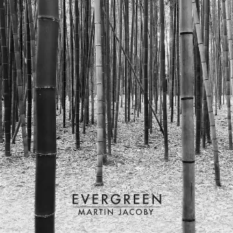 Evergreen by Martin Jacoby