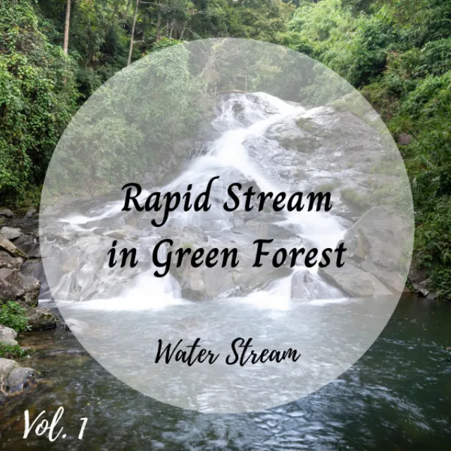 Water Stream: Rapid Stream in Green Forest Vol. 1