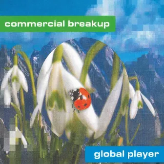 Global Player by Commercial Breakup