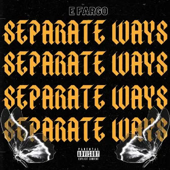 SEPARATE WAYS by E Fargo