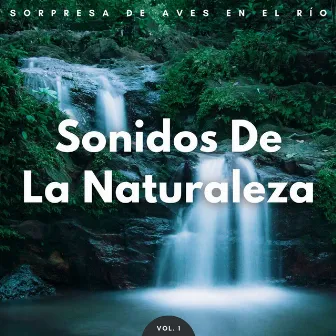 Sonidos De La Naturaleza: Sorpresa De Aves En El Río Vol. 1 by 