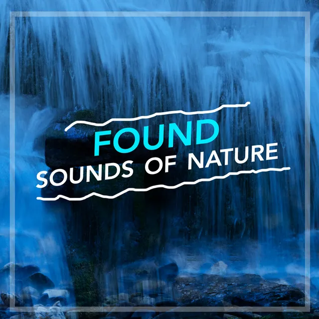 Found Sounds of Nature