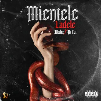 Mientele by Ladele OTM