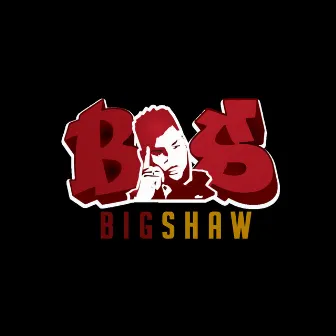 ShawHP by Big Shaw