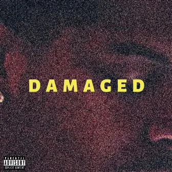 Damaged. by Camo