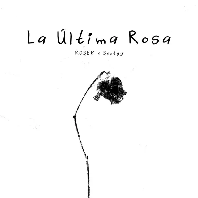 La Última Rosa