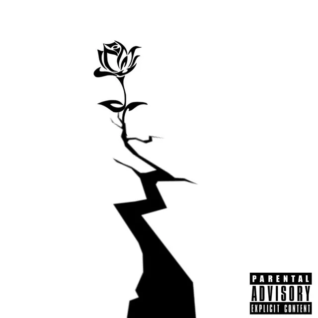 Rose from the Concrete