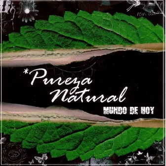 Mundo de Hoy by Pureza Natural