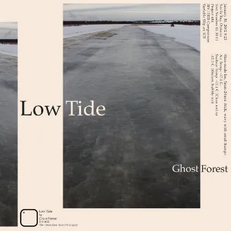 Low Tide by Ghost Forest