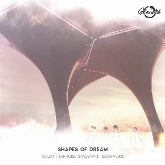 Shapes of Dream by Tarnoise Spaceman