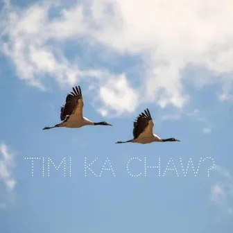 Timi ka chaw? by Lil Gorkhay