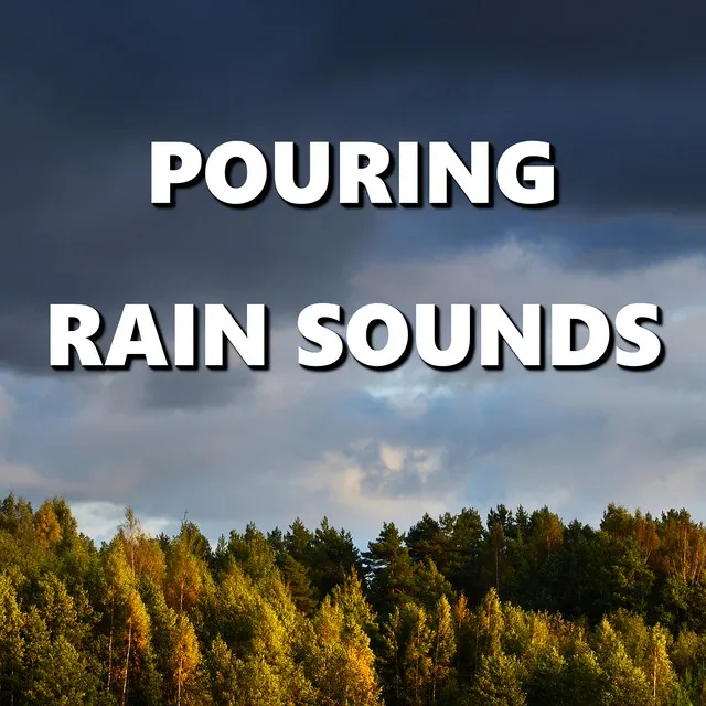 Pouring Rain Sounds