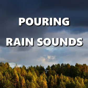 Pouring Rain Sounds by Wind and Rain Sounds