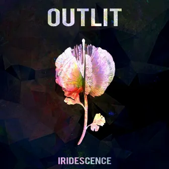 Iridescence by Outlit