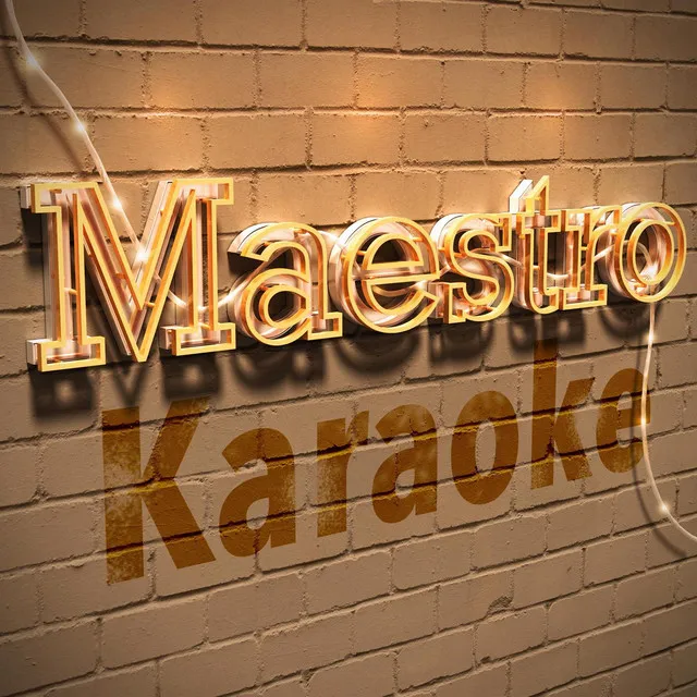 Maestro Karaoke Vol 4