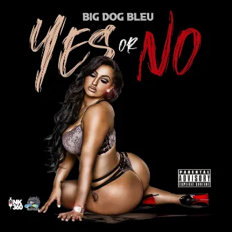 YesOrNo Ep by BIGDOG BLEU