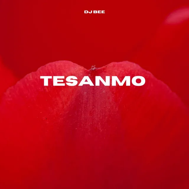 Tesanmo