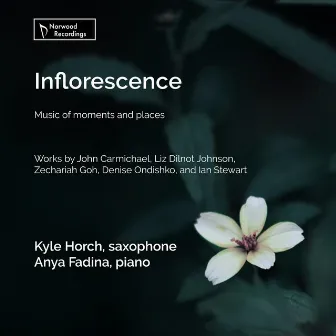 Inflorescence by Kyle Horch