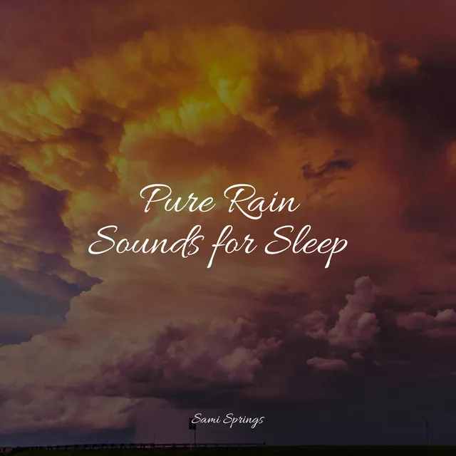 50 Winter Rain Sounds for Meditation