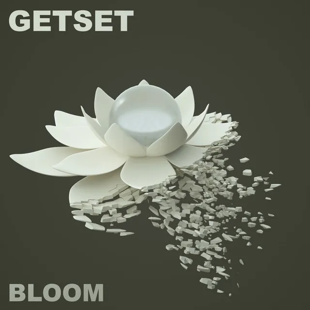 Bloom