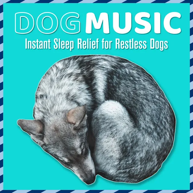 Dog Music: Instant Sleep Relief for Restless Dogs