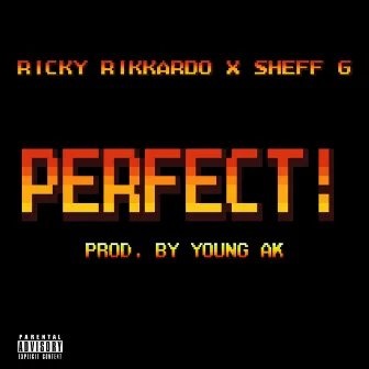 Perfect! by Ricky Rikkardo