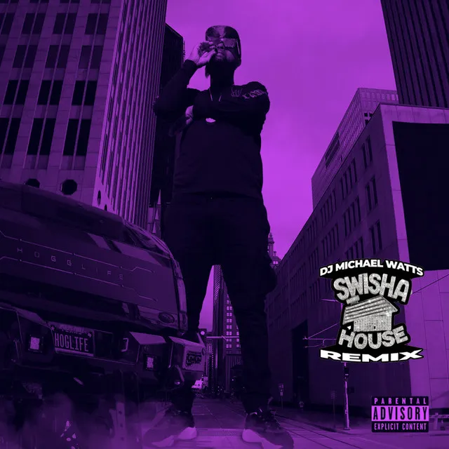 BIGslim (Swisha House Remix) (Edited)