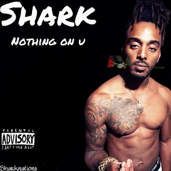 Nothing on You by Shark