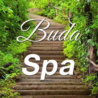 Buda Spa: Música Relajante Tranquila diseñada para Calmar las Emociones en un Centro de Salud o en el Spa con Música Instrumental y Ambiental para Pacificar sus Vida con Sonidos de la Naturaleza como la Lluvia, el Viento y las Olas del Océano by Protomotivation