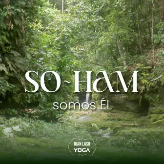 So Ham somos él by Juan Laso