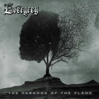 The Paradox of the Flame by Evergrey