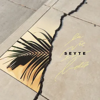 La vie est belle by Seyté