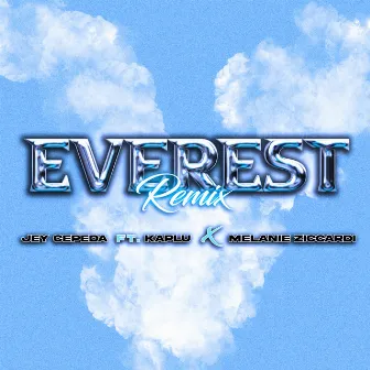 Everest (Remix) by melanie ziccardi