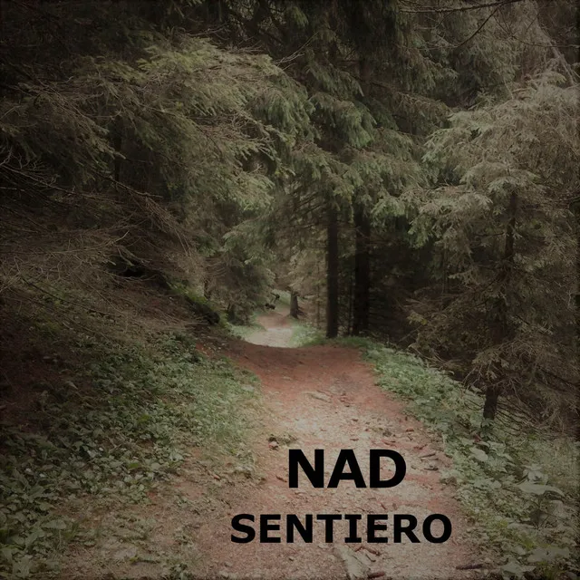 Sentiero