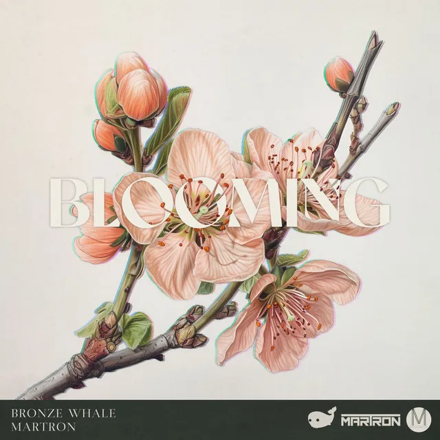 Blooming