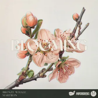 Blooming by 