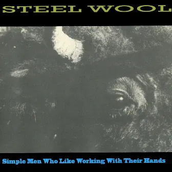 Simple Men Who Like Working with Their Hands by Steel Wool