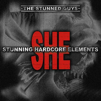 SHE - Stunning Hardcore Elements by The Stunned Guys