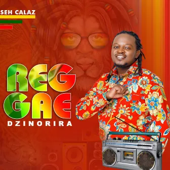 Reggae Dzinorira by Seh Calaz