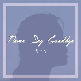 Never Say Goodbye by 권애진