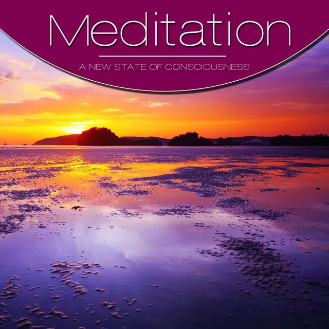 Meditation, Vol. Violet, Vol. 3