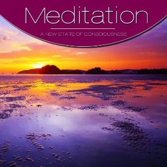 Meditation, Vol. Violet, Vol. 3 by Meditation String