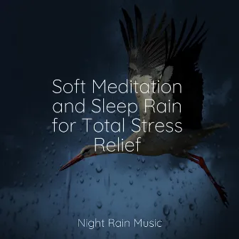 Soft Meditation and Sleep Rain for Total Stress Relief by Mother Earth Sounds